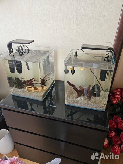 Аквариум 30 литров с оборудованием