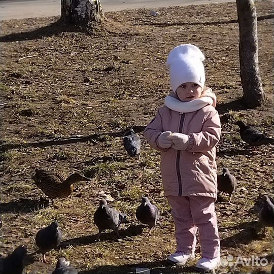 Куртка, парка minidino