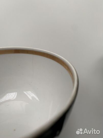 Дулево Тюльпан