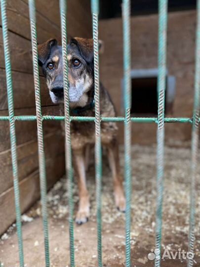 Старушка Магда не знала любви