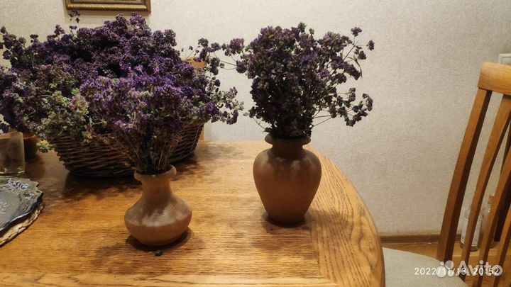 Душица (орегано)