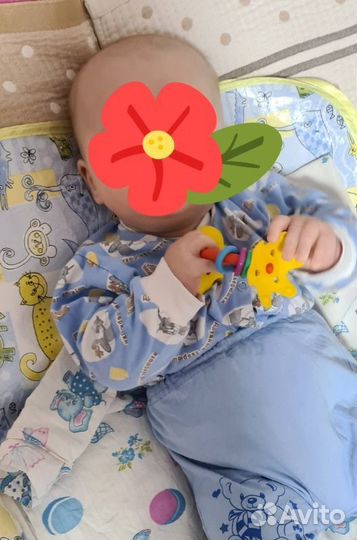 Развивающие игрушки, прорезыватель Pegion