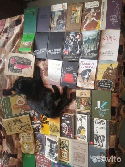 Художественная литература зарубежных авторов