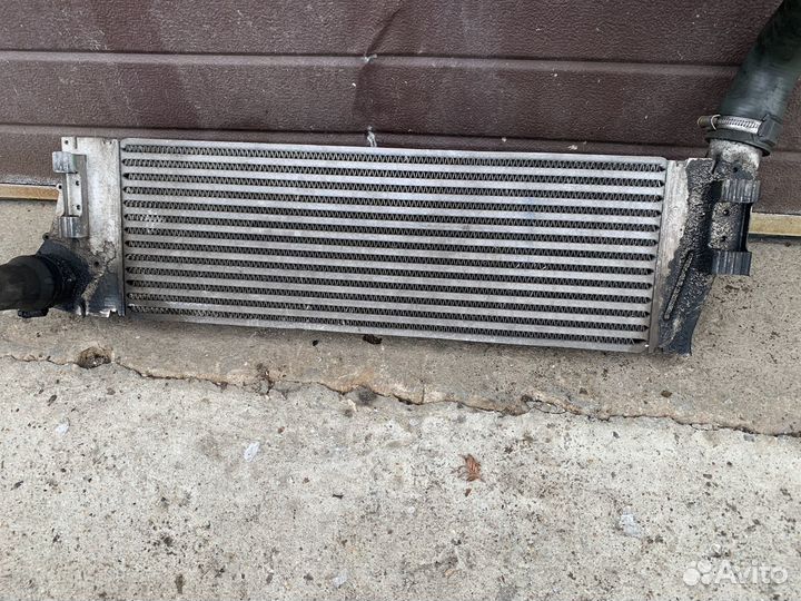 Renault Scenic 2 - Интеркуллер