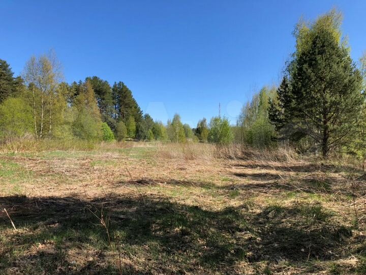 Участок 26,9 сот. (СНТ, ДНП)