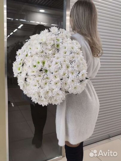 Хризантема букты и композиции