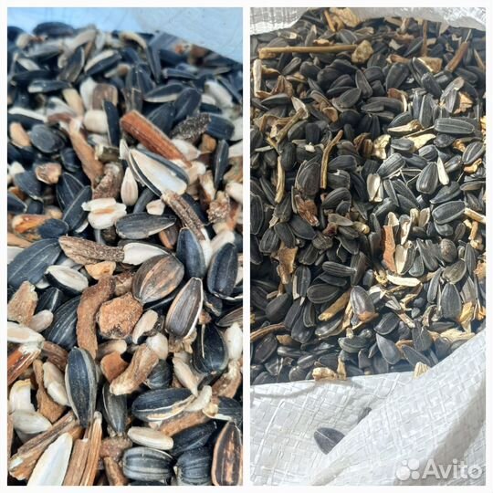 Отходы семечки