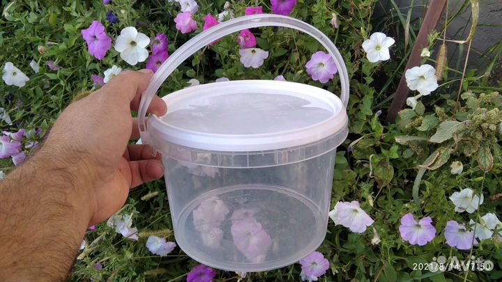 Пластиковые ведра