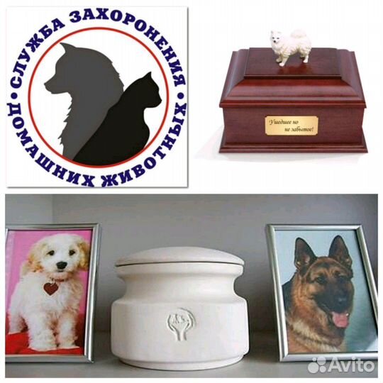 Эвтаназия Усыпление Кремация Захоронение