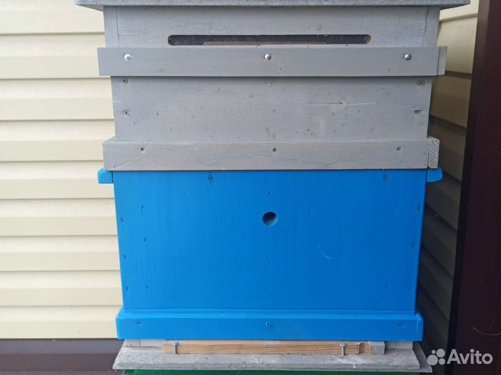 Ульи дадан 12рамочный