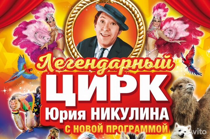 Билеты в Цирк Никулина