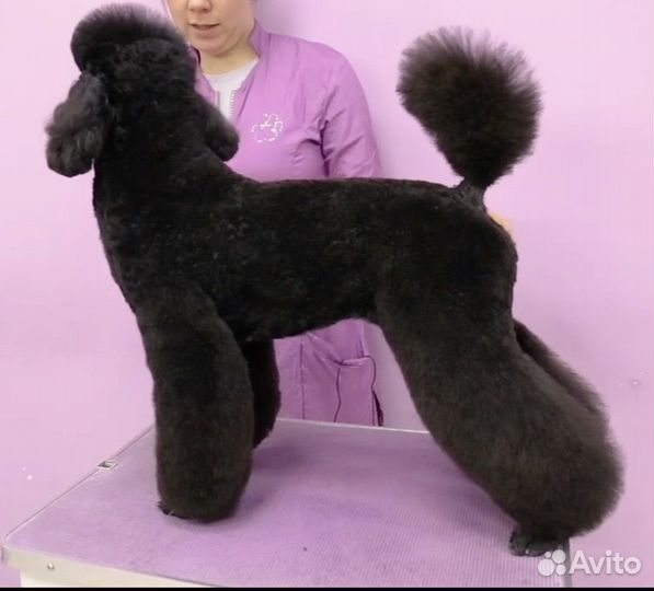 Грумминг. Модели