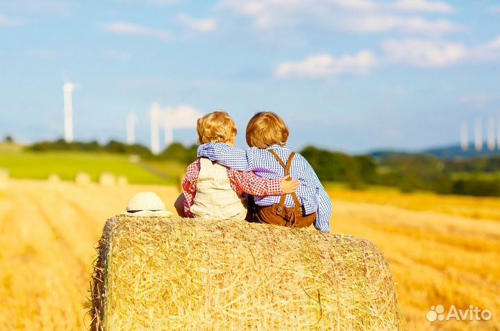 Собеседник Слушатель Мотивация Друг на час