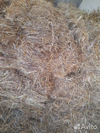 Сено в тюках