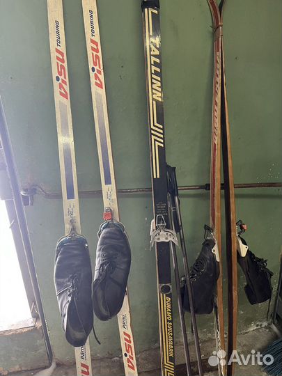 Беговые лыжи