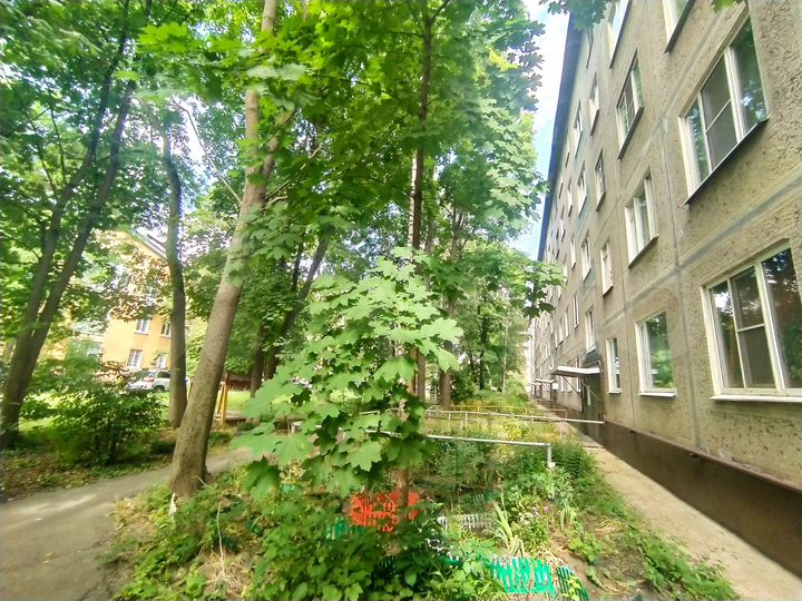 3-к. квартира, 61,5 м², 3/5 эт.