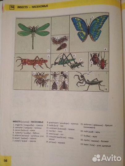 Детский словарь по анг. языку
