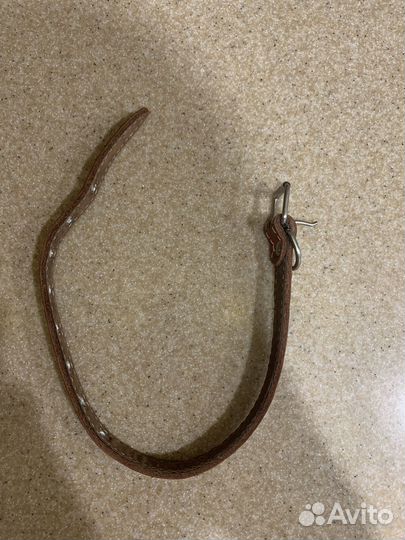 Ошейник для собак из натуральной кожи