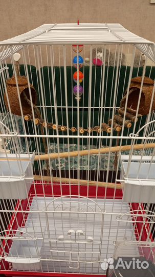 Клетка для попугая