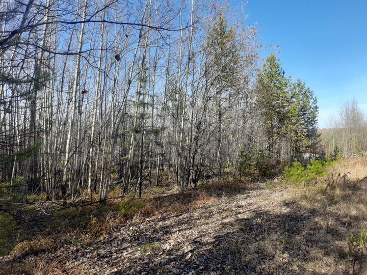 Участок 10 сот. (СНТ, ДНП)