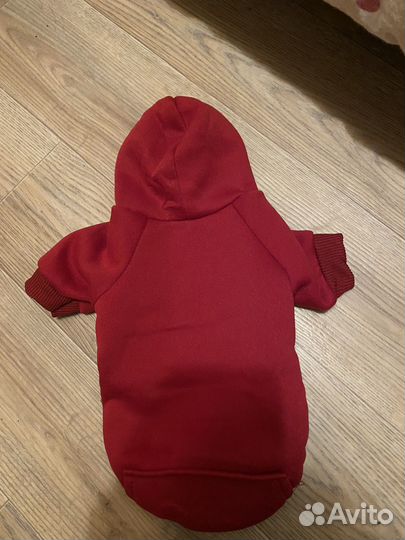 Кофты для йоркширского терьера