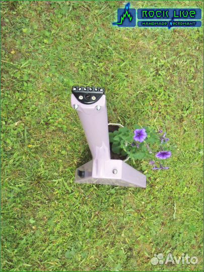 Электрогитара Rock Live, Anima 017