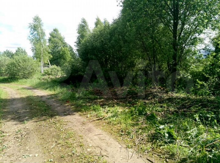 Участок 12 сот. (СНТ, ДНП)