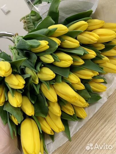 Тюльпаны к 8 марта