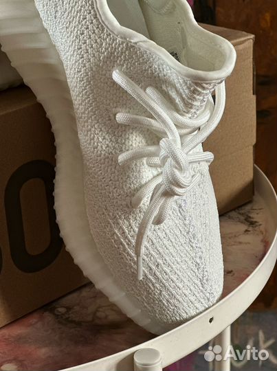 Adidas Yeezy Boost 350