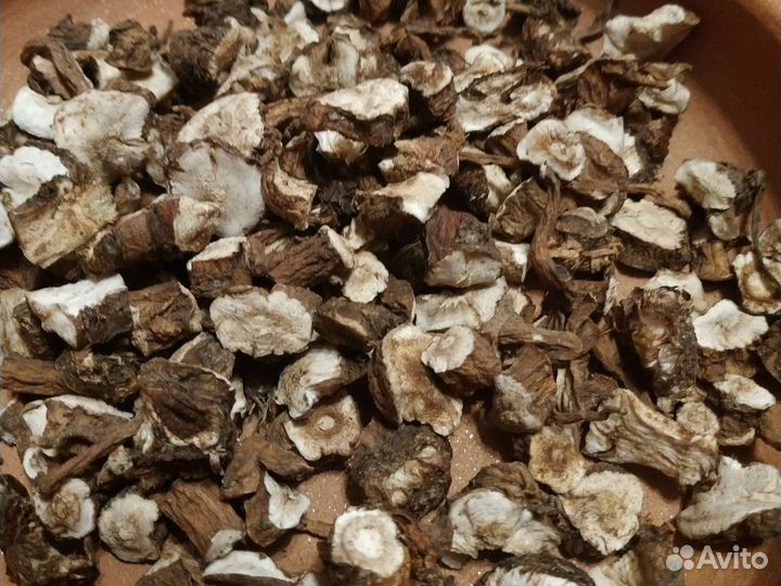 Корень одуванчика, аира, сабельника, пырея, лопуха