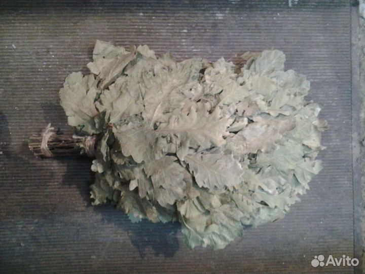 Дубовые веники