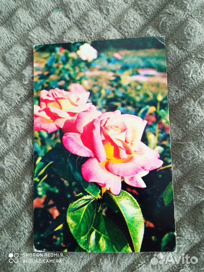 Открытки СССР