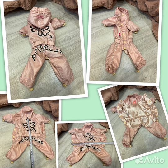 Одежда для собак limargy,LV,ForMyDogs, doggy dolly