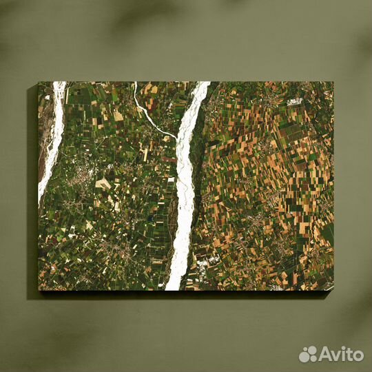 Картина Тальяменто