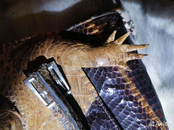 Эксклюзивная сумка с головой и лапами крокодила