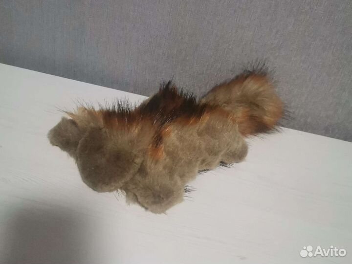 Белка летяга