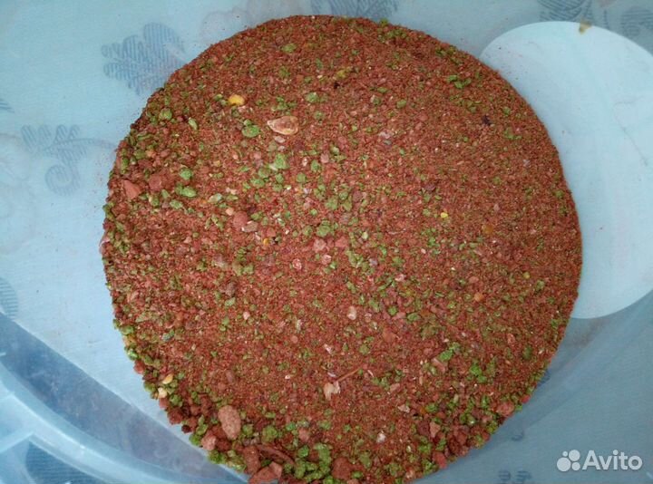 Карповые бойлы