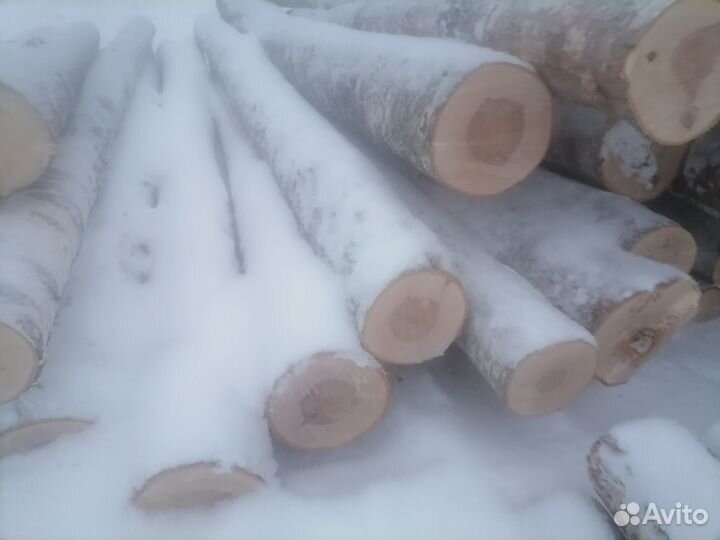 Лес кругляк береза осина