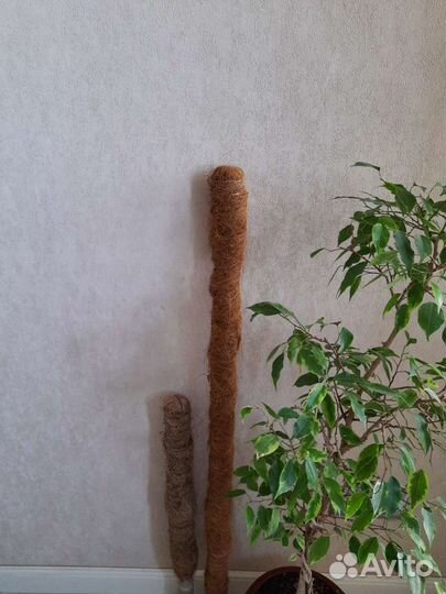 Опора кокосовая для растений