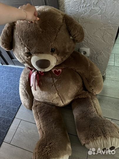 Плюшевый медведь