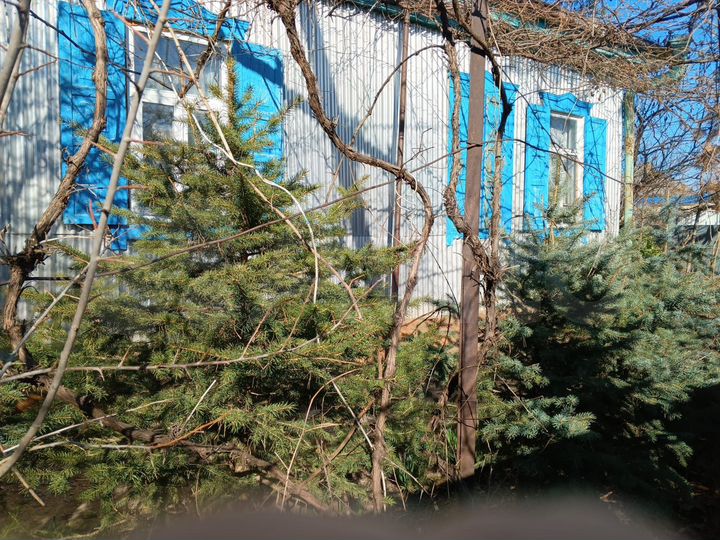 Дом 43 м² на участке 10 сот.