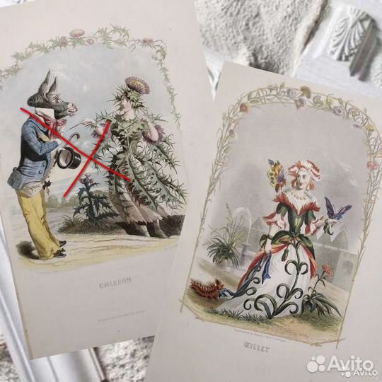 20 Антикварных гравюр Цветы Гранвиль 1852