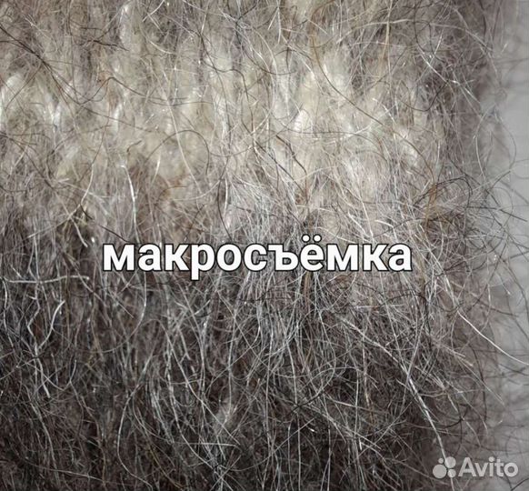 Носки из стопроцентный собачьей шерсти