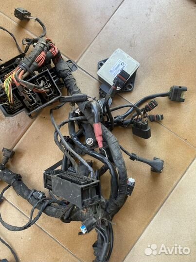 Жгут проводов, коса, BMW S 1000 RR 2013г