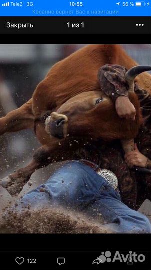 Перевозка животных