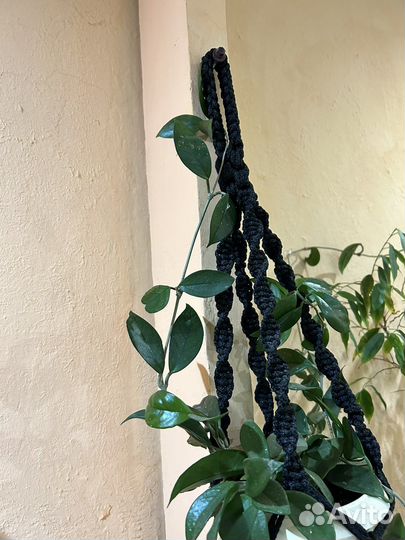 Кашпо подвесное макраме