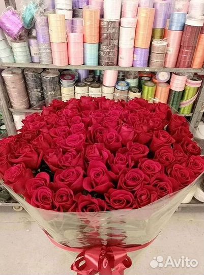 Букет роз 101 роза 51 роза