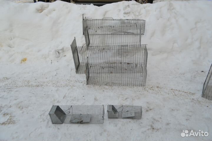 Живоловушки для животных