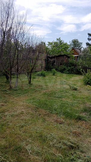 Участок 6,5 сот. (СНТ, ДНП)