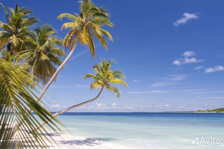 Мальдивы 2взр. 1реб. вылет 25.09 (7 ночей)